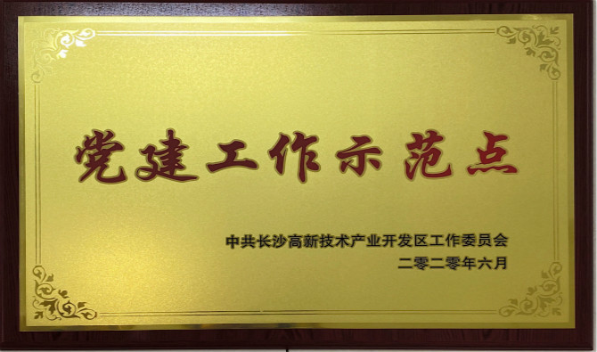 長(zhǎng)沙高新區(qū)黨工委授予中共九芝堂股份有限公司委員會(huì)“黨建工作示范點(diǎn)”“優(yōu)秀黨務(wù)工作者”榮譽(yù)稱號(hào)